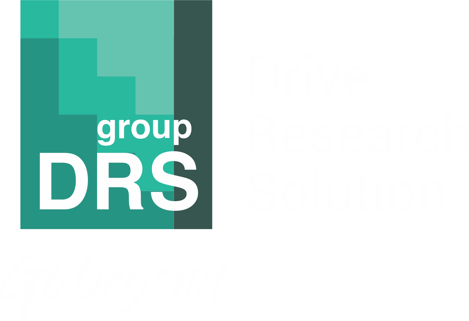 DRS Group - Drive Research Solution